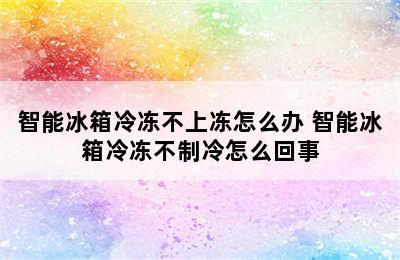 智能冰箱冷冻不上冻怎么办 智能冰箱冷冻不制冷怎么回事